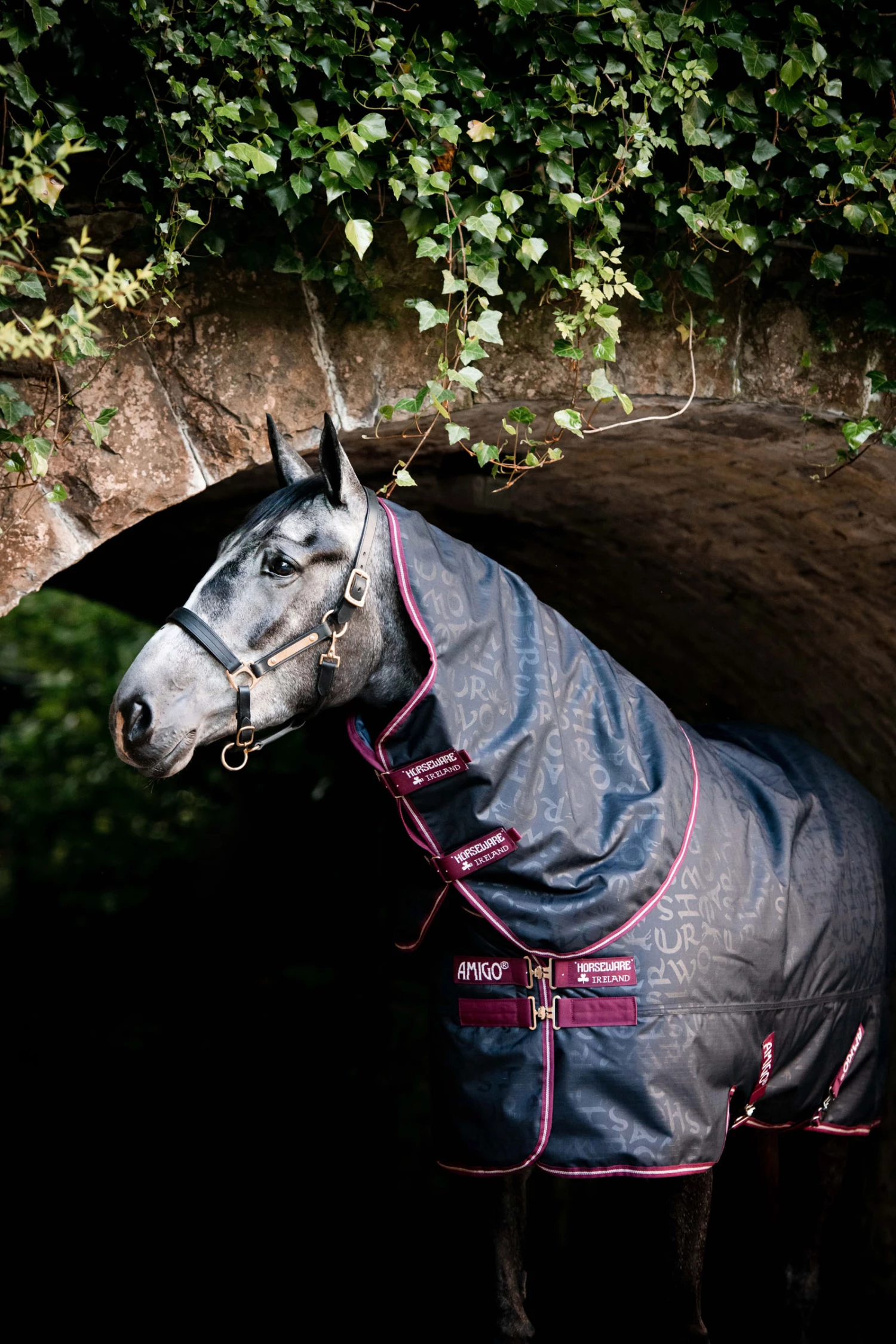 Horseware Amigo Hero Ripstop Plus Weidedecke Mit Abnehmbarem Halsteil, 0g 5 Horseware Amigo Hero Ripstop Plus Weidedecke Mit Abnehmbarem Halsteil, 0g – Bild 3