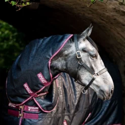 Horseware Amigo Hero Ripstop Plus Weidedecke Mit Abnehmbarem Halsteil, 0g 10 Horseware Amigo Hero Ripstop Plus Weidedecke Mit Abnehmbarem Halsteil, 0g -Weatherbeeta Shop 332739 DB BU 3
