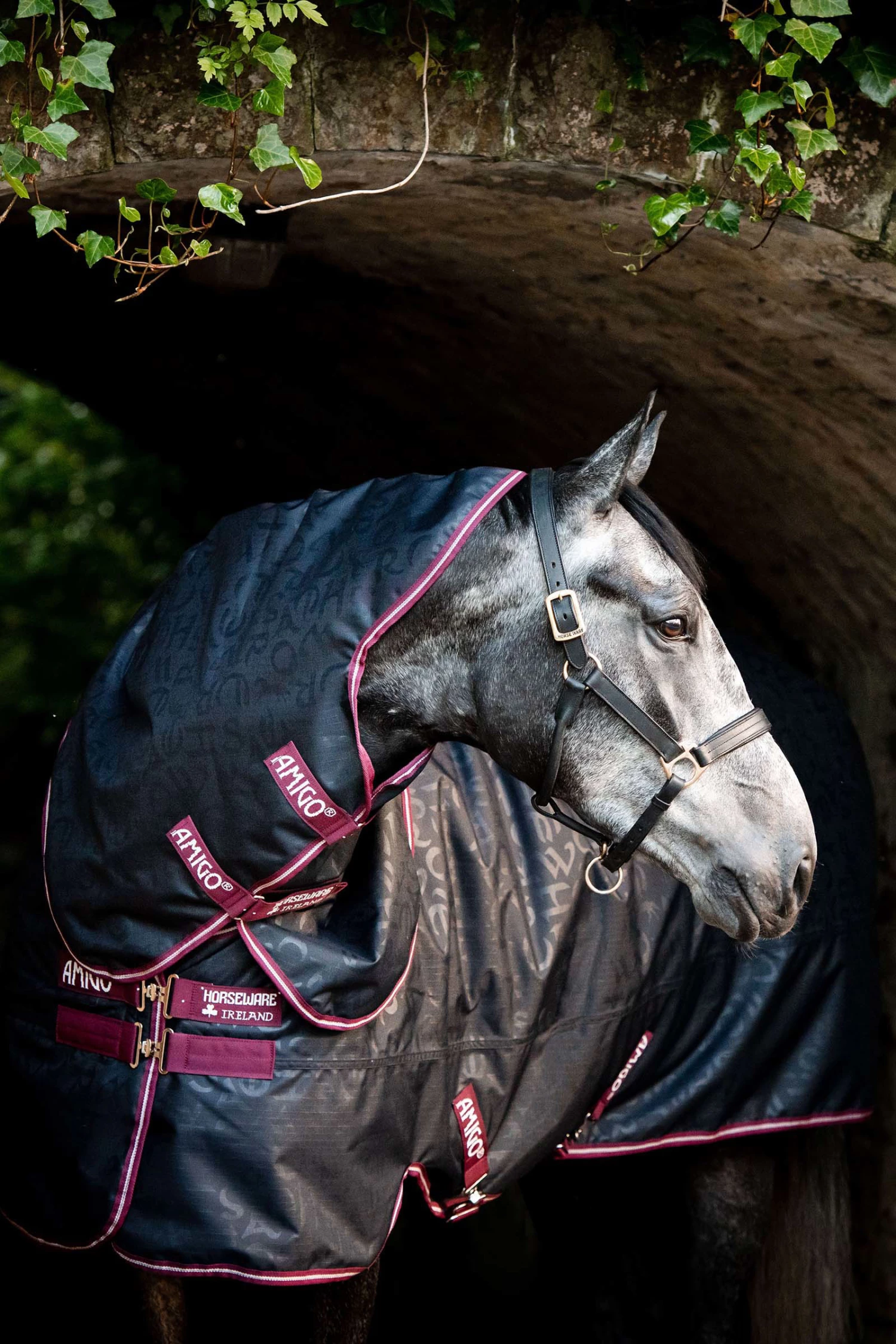 Horseware Amigo Hero Ripstop Plus Weidedecke Mit Abnehmbarem Halsteil, 0g 6 Horseware Amigo Hero Ripstop Plus Weidedecke Mit Abnehmbarem Halsteil, 0g – Bild 4