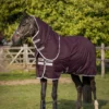 Horseware Amigo Hero Ripstop Plus Medium Winterdecke Mit Abnehmbarem Halsteil, 200g -Weatherbeeta Shop 332742 FPU SI 1