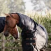 Kentucky Horsewear All Weather Waterproof Classic Regendecke, 0g 1 Kentucky Horsewear All Weather Waterproof Classic Regendecke, 0g -Weatherbeeta Shop 332981 DB 1