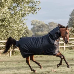 Kentucky Horsewear All Weather Waterproof Classic Regendecke, 0g -Weatherbeeta Shop 332981 DB 3