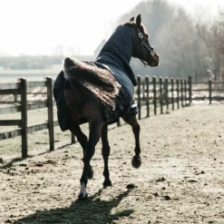 Kentucky Horsewear All Weather Waterproof Classic Regendecke, 50g -Weatherbeeta Shop 332982 DB 3