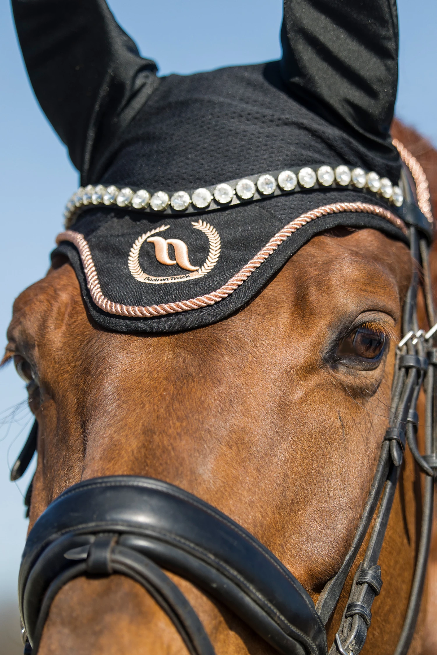 Back On Track Haze Kollektion Fliegenhauben 11 Back On Track Haze Kollektion Fliegenhauben – Bild 9