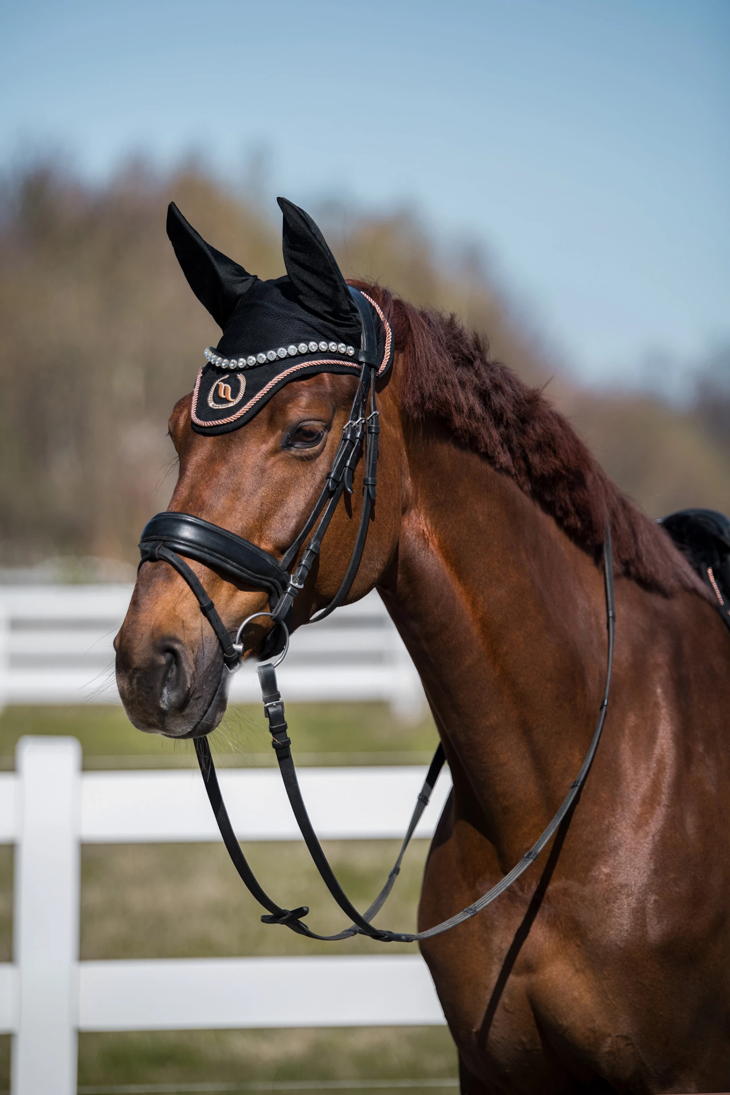 Back On Track Haze Kollektion Fliegenhauben 12 Back On Track Haze Kollektion Fliegenhauben – Bild 10