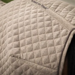 Back On Track Haze Kollektion Gesteppte Stalldecke, 200g (125-135cm) -Weatherbeeta Shop 333191 BR 7