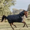 Kentucky Horsewear All Weather Waterproof Classic, Regendecke, 150g -Weatherbeeta Shop 333287 DB 1