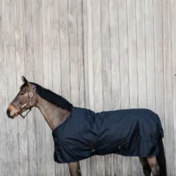 Kentucky Horsewear All Weather Waterproof Classic, Regendecke, 150g -Weatherbeeta Shop 333287 DB 3