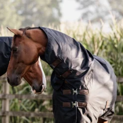 Kentucky Horsewear All Weather Waterproof Classic, Regendecke, 150g -Weatherbeeta Shop 333287 DB 6