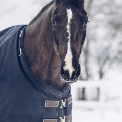 Kentucky Horsewear All Weather Waterproof Classic Winterdecke, 300g 10 Kentucky Horsewear All Weather Waterproof Classic Winterdecke, 300g -Weatherbeeta Shop 333289 DB 3
