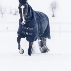 Kentucky Horsewear All Weather Waterproof Classic Winterdecke, 300g 11 Kentucky Horsewear All Weather Waterproof Classic Winterdecke, 300g -Weatherbeeta Shop 333289 DB 4