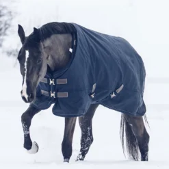 Kentucky Horsewear All Weather Waterproof Classic Winterdecke, 300g 12 Kentucky Horsewear All Weather Waterproof Classic Winterdecke, 300g -Weatherbeeta Shop 333289 DB 5