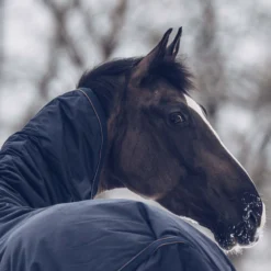 Kentucky Horsewear All Weather Waterproof Classic Winterdecke, 300g 13 Kentucky Horsewear All Weather Waterproof Classic Winterdecke, 300g -Weatherbeeta Shop 333289 DB 6