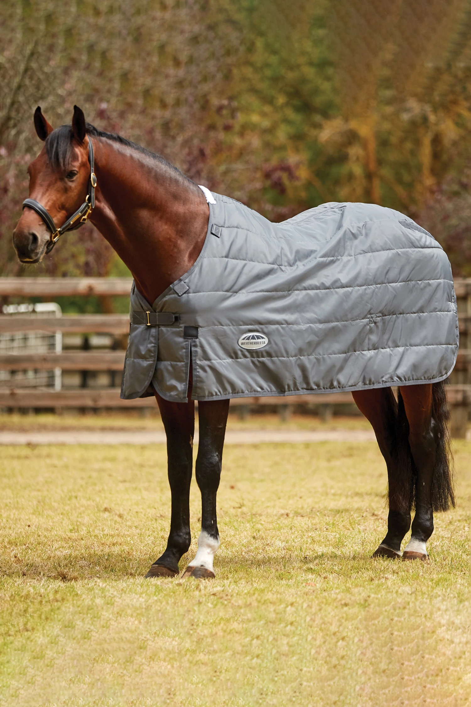 Weatherbeeta Comfitec Unterdecke, 200g 4 Weatherbeeta Comfitec Unterdecke, 200g – Bild 2