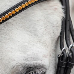 Schockemöhle Diamond Select Stirnriemen -Weatherbeeta Shop 334038 BL OR 2