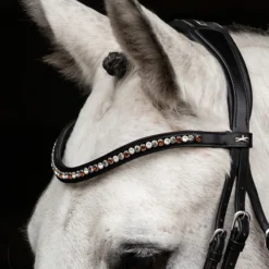 Schockemöhle Diamond Select Stirnriemen -Weatherbeeta Shop 334038 BL TBR 2