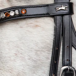 Schockemöhle Diamond Select Stirnriemen -Weatherbeeta Shop 334038 BL TBR 3