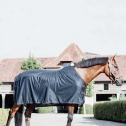 Kentucky Horsewear Mesh Fliegendecke -Weatherbeeta Shop 334162 DB 2