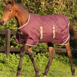 Horseware Amigo Ripstop Fohlendecke, 200g -Weatherbeeta Shop 334224 FPU DB TBR 1