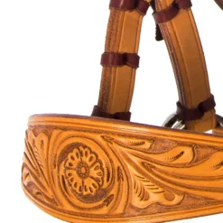 F.R.A. Diego Gebisslose Trense -Weatherbeeta Shop 334265 NAT 9