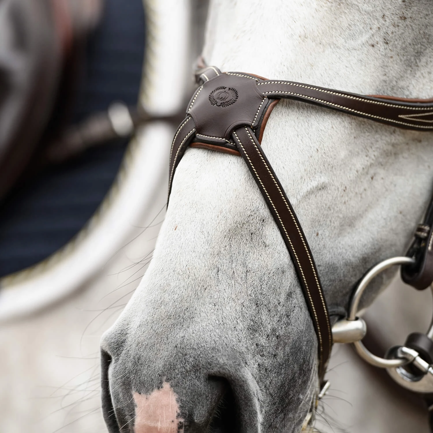 PS Of Sweden Athens Mexikanische Trense 6 PS Of Sweden Athens Mexikanische Trense – Bild 4