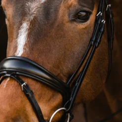 Schockemöhle Brantford Trense -Weatherbeeta Shop 335283 BL PTG 7