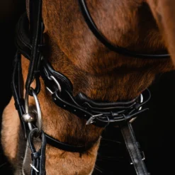 Schockemöhle Brantford Trense -Weatherbeeta Shop 335283 BL PTG 8