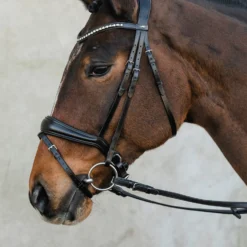 Schockemöhle Brantford Trense -Weatherbeeta Shop 335283 BL PTG 9