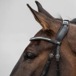 Schockemöhle Equitus Rho Genickstück -Weatherbeeta Shop 335287 BL SI 3