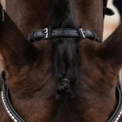 Schockemöhle Equitus Rho Genickstück -Weatherbeeta Shop 335287 BL SI 4
