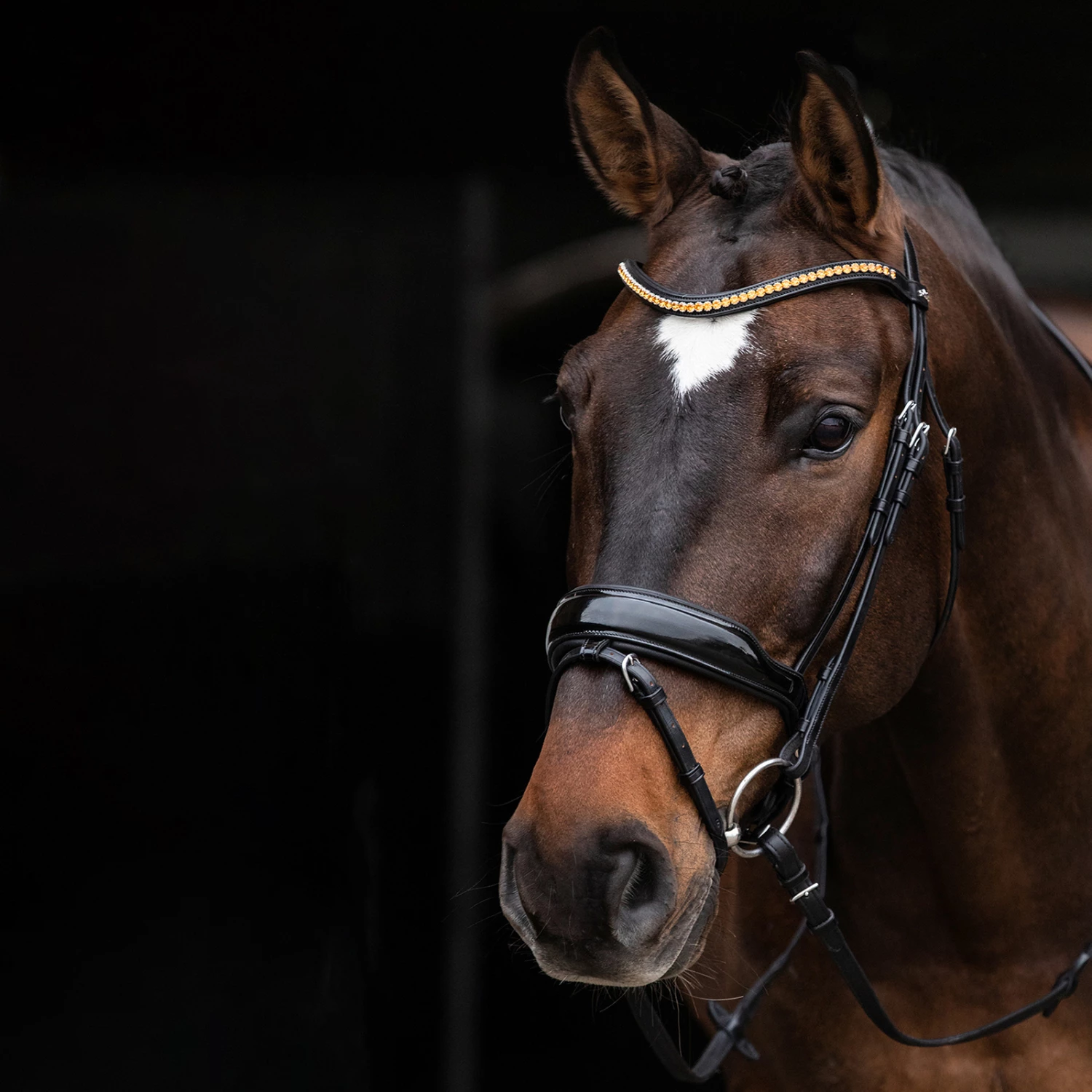 Schockemöhle Stanton Select Trense 5 Schockemöhle Stanton Select Trense – Bild 3