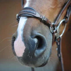 Kavalkade Levana Trense 9 Kavalkade Levana Trense -Weatherbeeta Shop 335722 BR 2