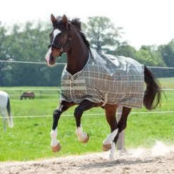 Kavalkade Montreal Weidedecke, 100g -Weatherbeeta Shop 335735 GR CHK 1