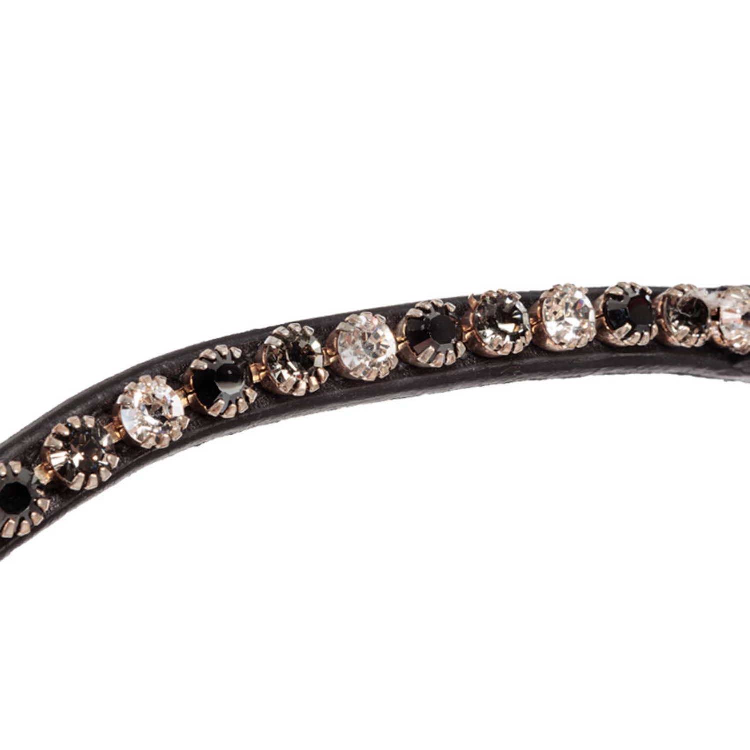 Kavalkade Reyna KavalSH4 Trense 7 Kavalkade Reyna KavalSH4 Trense – Bild 5