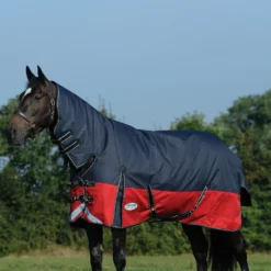 Weatherbeeta Comfitec Plus Dynamic II Weidedecke Mit Integriertem Halsteil, 100g -Weatherbeeta Shop 335953 BL RE SI 1