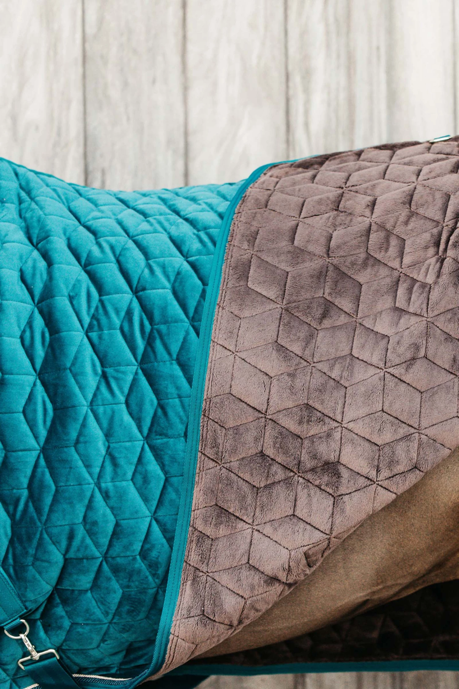 Kentucky Horsewear Velvet Turnierdecke, 160g 8 Kentucky Horsewear Velvet Turnierdecke, 160g – Bild 6