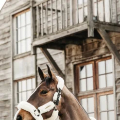 Kentucky Horsewear Velvet Turnierdecke, 160g 31 Kentucky Horsewear Velvet Turnierdecke, 160g -Weatherbeeta Shop 336617 MGO 3