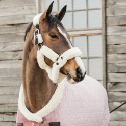 Kentucky Horsewear Velvet Turnierdecke, 160g 36 Kentucky Horsewear Velvet Turnierdecke, 160g -Weatherbeeta Shop 336617 RRPI 2