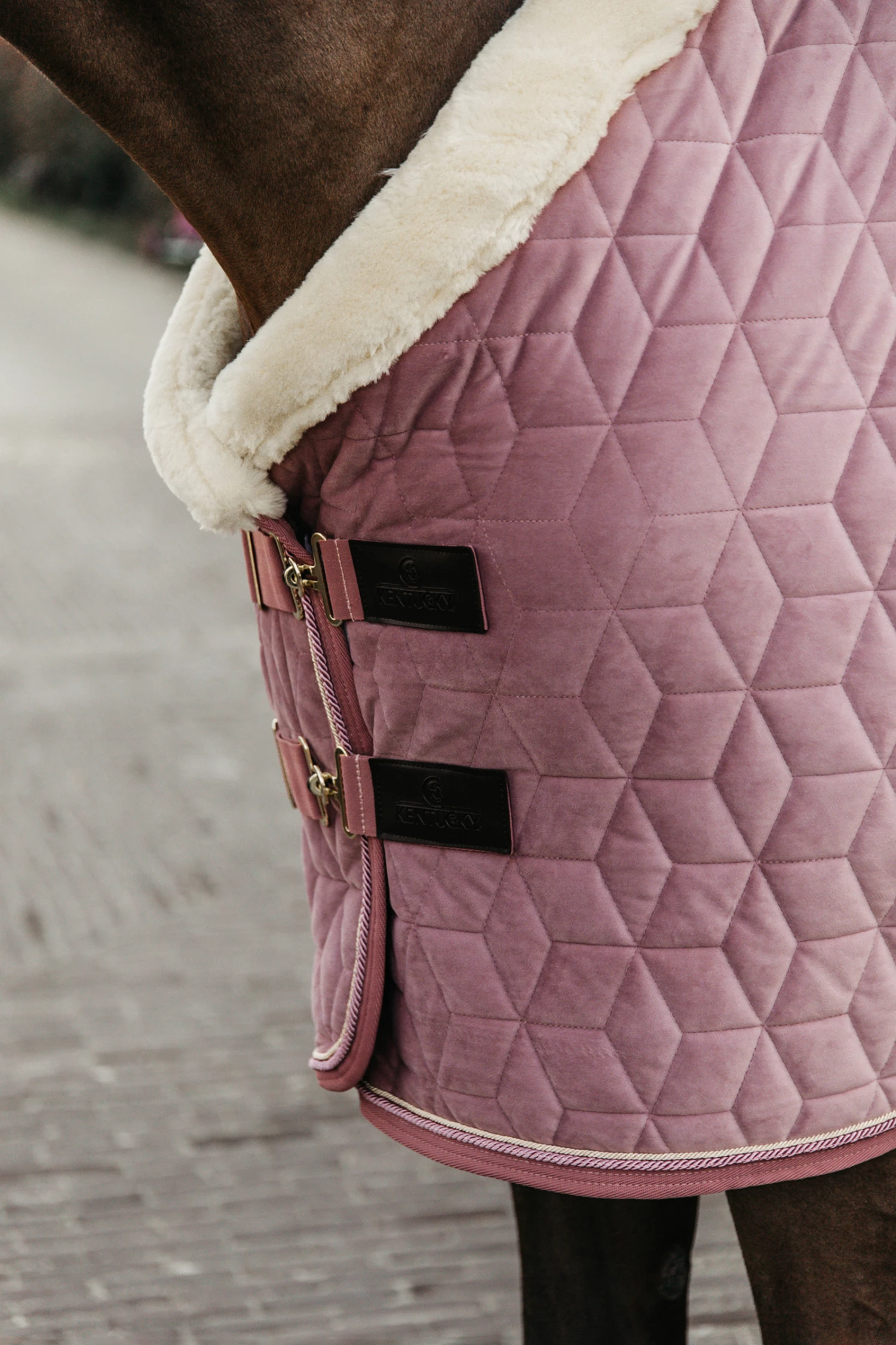 Kentucky Horsewear Velvet Turnierdecke, 160g 20 Kentucky Horsewear Velvet Turnierdecke, 160g – Bild 18