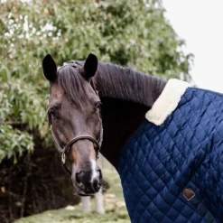 Kentucky Horsewear Stalldecke, 200g 8 Kentucky Horsewear Stalldecke, 200g -Weatherbeeta Shop 336618 DB 7