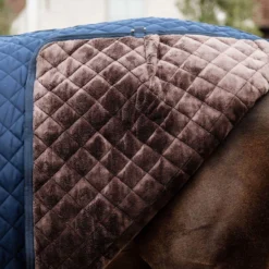 Kentucky Horsewear Stalldecke, 200g 9 Kentucky Horsewear Stalldecke, 200g -Weatherbeeta Shop 336618 DB 8
