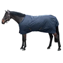 Kentucky Horsewear All Weather Hurricane Weidedecke, 0g -Weatherbeeta Shop 336622 DB 2