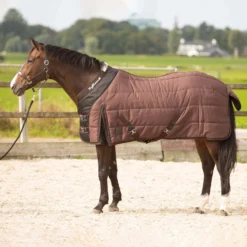 Harry's Horse Highliner Stalldecke, 200g