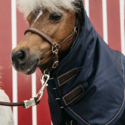 Kentucky Horsewear Pony All Weather Classic Weidedecke, 0g -Weatherbeeta Shop 336885 DB 3