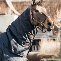 Kentucky Horsewear Pony All Weather Classic Weidedecke, 150g -Weatherbeeta Shop 336886 DB 6