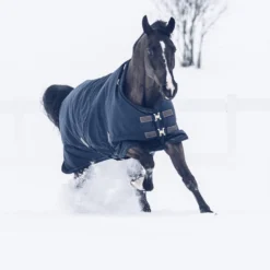 Kentucky Horsewear Tiny All Weather Weidedecke, 300g -Weatherbeeta Shop 336887 DB 4