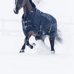 Kentucky Horsewear Tiny All Weather Weidedecke, 300g -Weatherbeeta Shop 336887 DB 5