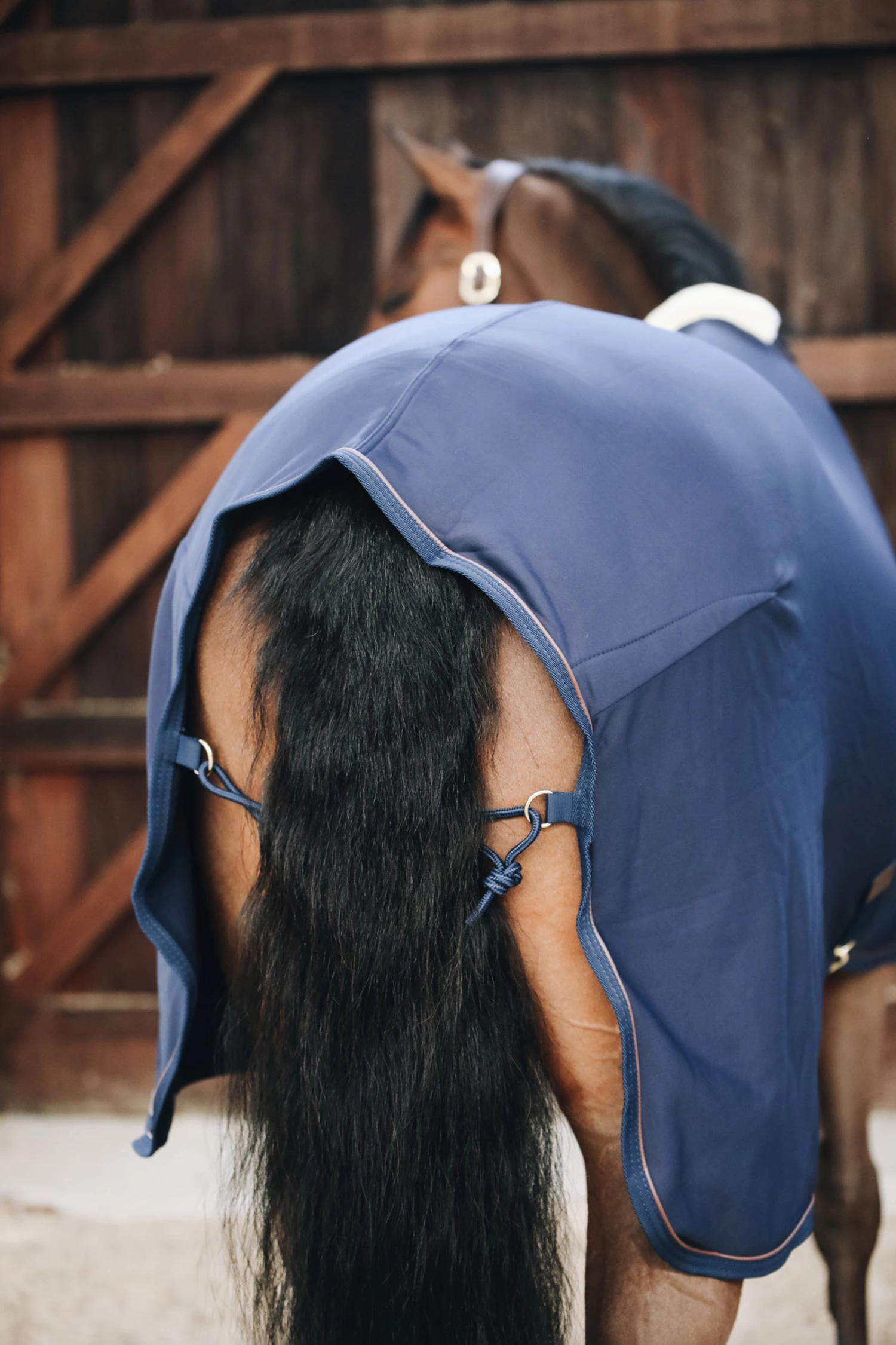 Kentucky Horsewear Tiny Fleece Abschwitzdecke 8 Kentucky Horsewear Tiny Fleece Abschwitzdecke – Bild 6