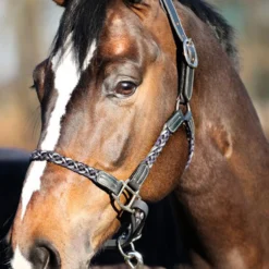 Kavalkade Tessa Flechthalfter -Weatherbeeta Shop 337438 ANT DB WH 04