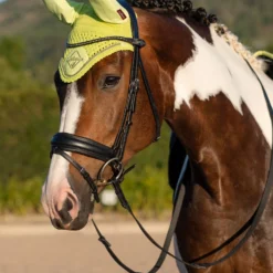 LeMieux Classic Fliegenohren -Weatherbeeta Shop 338077 SLGR 02